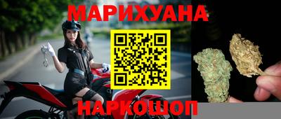 амф Новозыбков