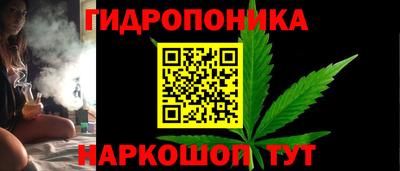 амф Новозыбков