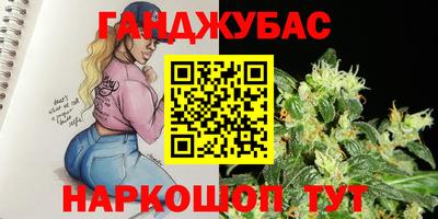 амф Новозыбков
