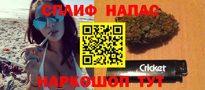 амф Новозыбков