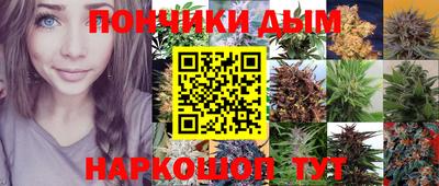 молекула духа Новодвинск