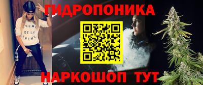 амф Новозыбков
